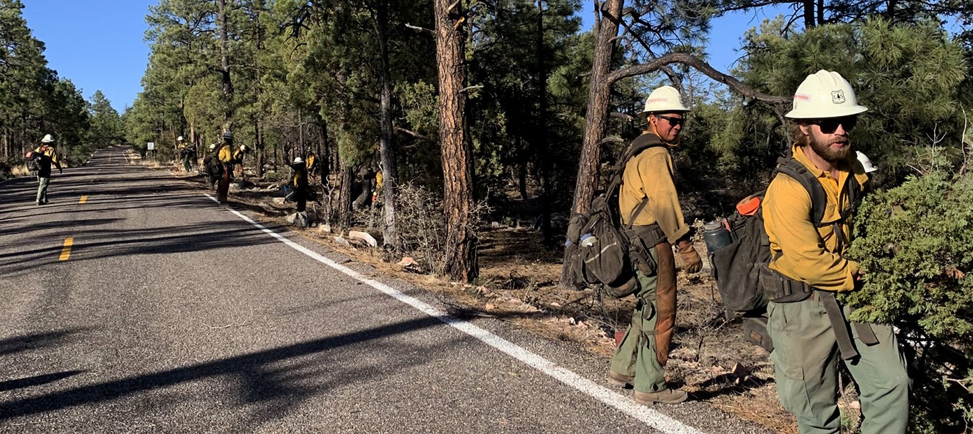 Black Fire on track to become the largest wildfire in New Mexico