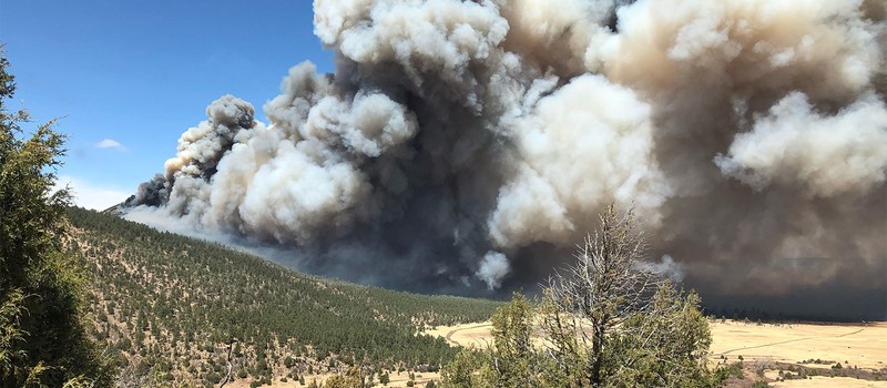 Firewatch: Over 54,000 acres already burned in New Mexico Calf Canyon and Hermits Peak fires