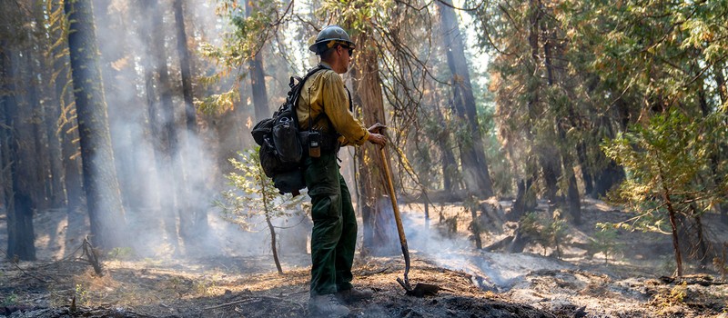 Almost 50% of the Black Fire is contained — 287,273 acres burned